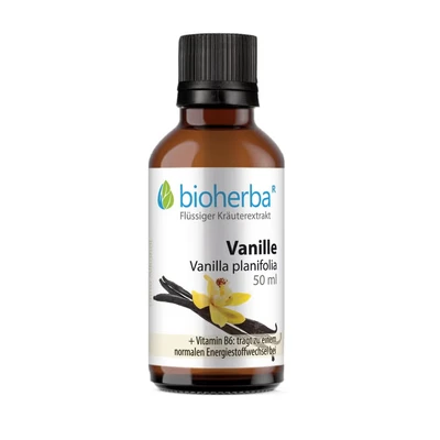 Abbildung von Vanille Vanilla Planifolia 50 ml