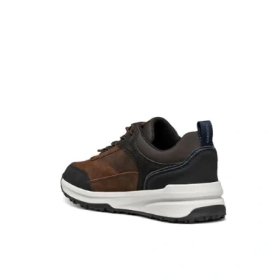 Abbildung von Geox Sterratrail GRIP Sneaker low, Herren, Größe: 42, Coffee Leder/synthetik