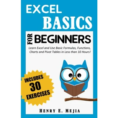 Abbildung von Excel BASICS For BEGINNERS: Learn and Use Basic Formulas, Functions, Charts Pivot Tables in Less Than 10 Hours! (Excel Beginners)