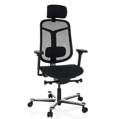 Abbildung von hjh OFFICE Ergonomischer Bürostuhl Bicolore HIGH Drehstuhl mit Verstellbarer Lordosenstütze, Sitz neigbar und tiefenverstellbar, Schwarz/Silber