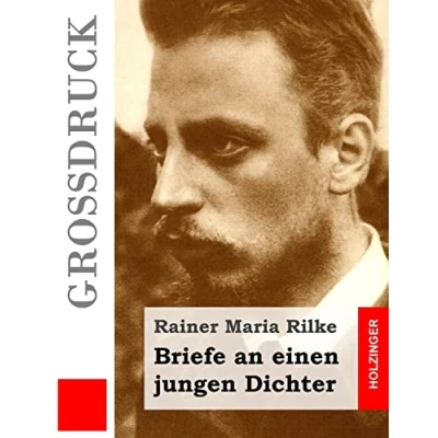 Abbildung von Briefe an einen jungen Dichter (Großdruck)