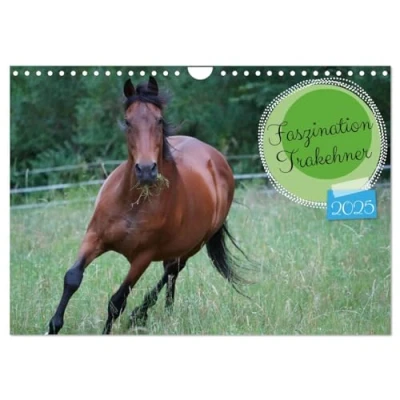 Abbildung von Faszination Trakehner (Wandkalender 2025 DIN A4 quer), CALVENDO Monatskalender