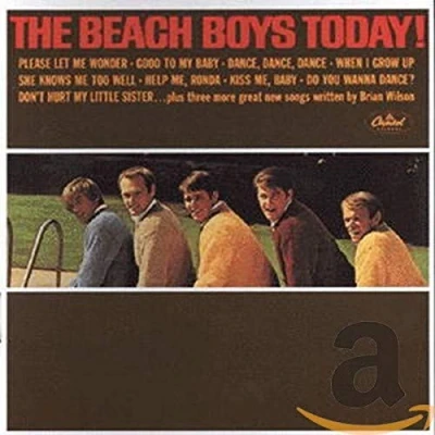 Abbildung von The Beach Boys Today! / Summer Days (And Nights!!)
