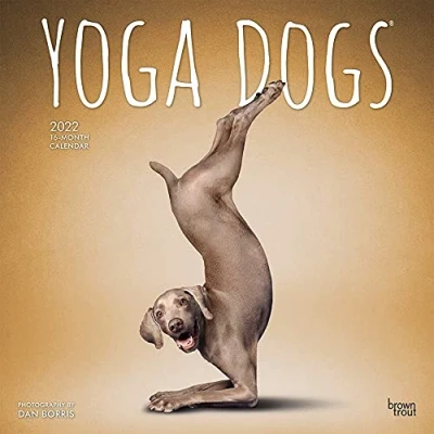 Abbildung von Yoga Dogs Joga Hunde 2022 16 Monatskalender: Original BrownTrout Kalender [Mehrsprachig] [Kalender] (Wall Kalender)