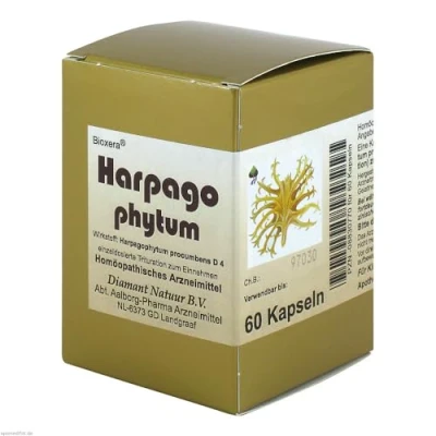 Abbildung von Harpagophytum Bioxera Kapseln 60 St