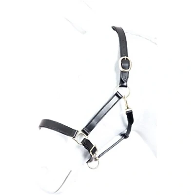Abbildung von Halfter ROBUST Leder schwarz