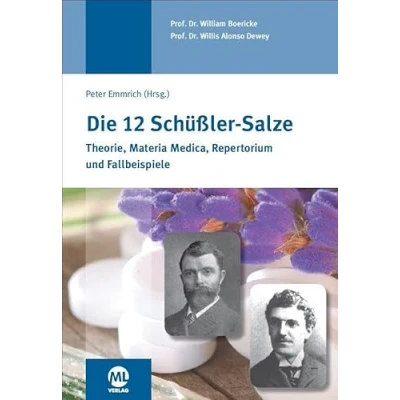 Abbildung von Die 12 Schüssler Salze: Theorie Materia Medica Repertorium Fallbeispiele