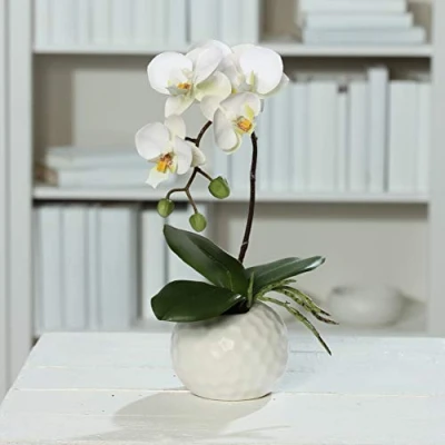 Abbildung von mucplants künstliche Orchidee Kunstpflanze Phalaenopsis Creme H. 30cm Keramiktopf Weiß Kunstblume