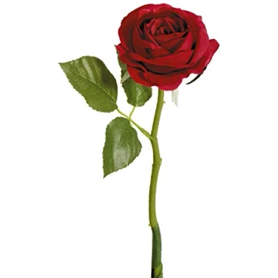 Abbildung von mucplants Rose 30cm rot Kunstblumen künstliche Blumen Seidenblumen Rosen Rosa Rosaceae