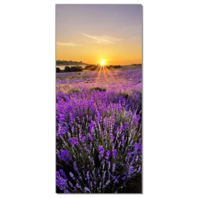 Abbildung von Wallario Selbstklebende Türtapete Sonnenuntergang über dem Lavendel Türposter 93 x 205 cm Abwischbar, rückstandsfrei zu entfernen