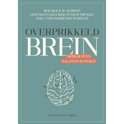 Abbildung von Overprikkeld brein: meer rust en balans in 10 weken