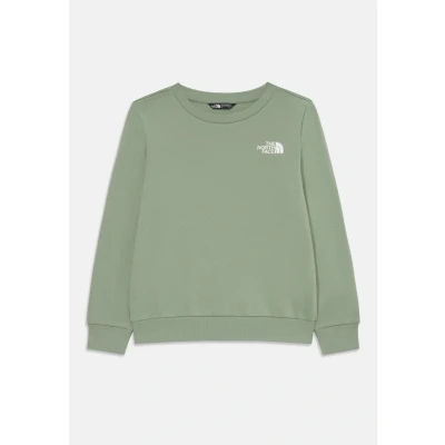 Abbildung von The North Face Simple DOME CREW Sweatshirt für Kinder, Größe: 155 160, Light green