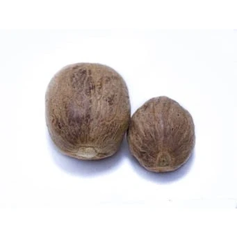 Abbildung von Muskatnüsse, gemahlen 1kg von Dragonspice Naturwaren,