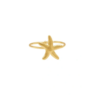 Abbildung von Heideman Ring Damen maritimes Seestern Design detailreiche Struktur &amp; sommerlicher Charme einzigartiger Eyecatcher für Strand Looks