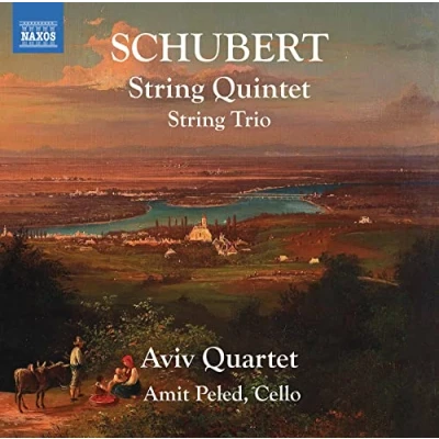 Abbildung von Streichquintett/Streichtrio