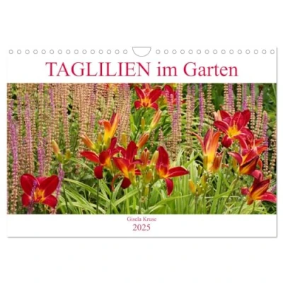 Abbildung von Taglilien im Garten (Wandkalender 2025 DIN A4 quer), CALVENDO Monatskalender