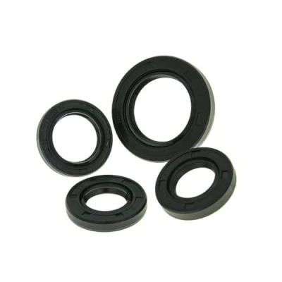 Abbildung von Wellendichtringsatz Motor für REX (Jinan Qingqi) RS 450 [QM50QT 6A]