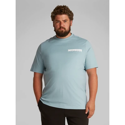 Abbildung von Calvin Klein Chest BOX LOGO Tshirt print, Herren, Größe: XXL, Arona