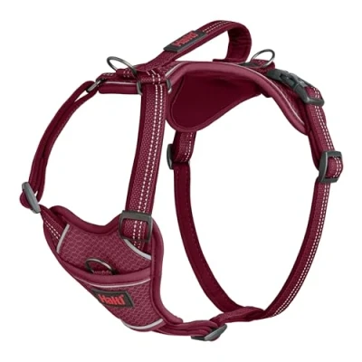 Abbildung von Halti Anatomie sele Magenta X Large