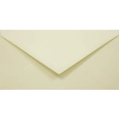 Abbildung von Netuno 100 Briefumschläge DIN Lang Ecru gerippt 11 x 22 cm 120g Aster Laid Ivory elegante Umschläge strukturiert Briefhüllen hochwertig für Grußkarten Einladungen Hochzeit Geburtstag Weihnachten