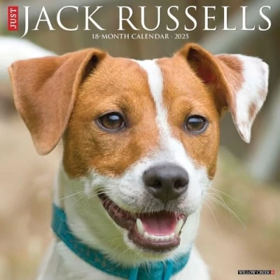 Abbildung von Jack Russells 2025 Wall