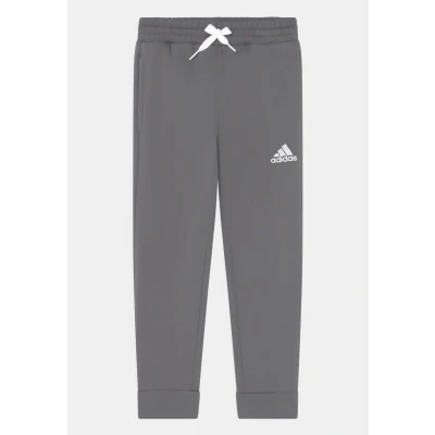 Abbildung von adidas Unisex Kinder Entrada 22 Sweat Pants, Team Grey Four, 13 14 Years