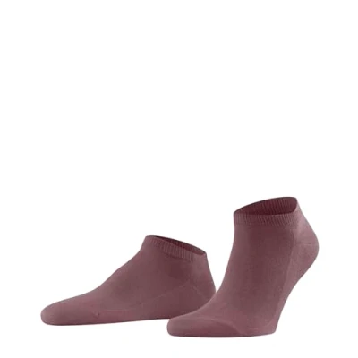 Abbildung von Falke Family Socken, Herren, Größe: 39 42, Roan rouge