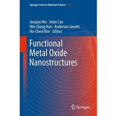 Abbildung von Functional Metal Oxide Nanostructures (Springer Series in Materials Science, 149, Band 149)