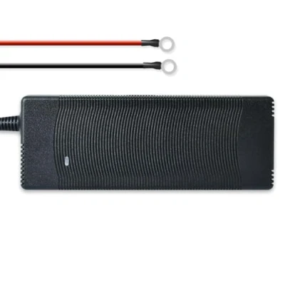 Abbildung von DCHOUSE 10A 12V intelligentes automatisches Lithium Batterieladegerät, speziell für 12,8 V LiFePO4 Batterien entwickelt