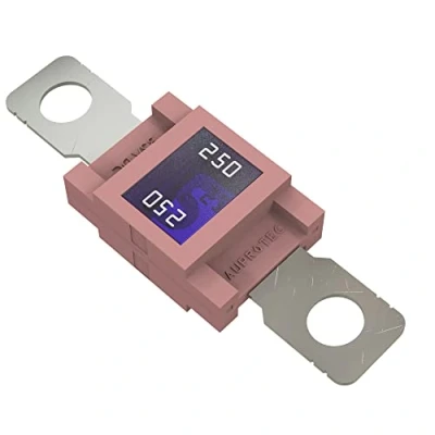 Abbildung von AUPROTEC Mega Hochstromsicherung Schraubsicherung 80A 500A Auswahl: 250A Ampere rosa, 1 Stück
