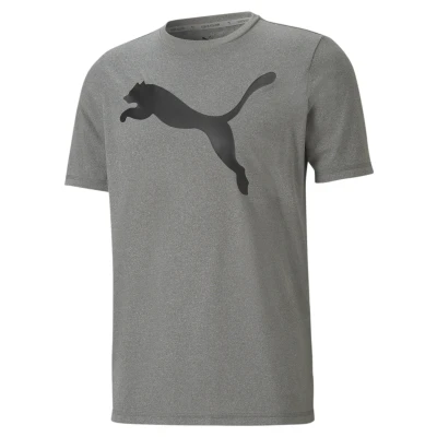 Abbildung von Puma Tshirt print, Herren, Größe: Small, Gray violet