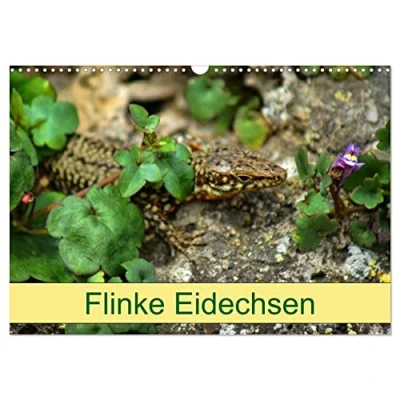 Abbildung von Flinke Eidechsen (Wandkalender 2025 DIN A3 quer), CALVENDO Monatskalender