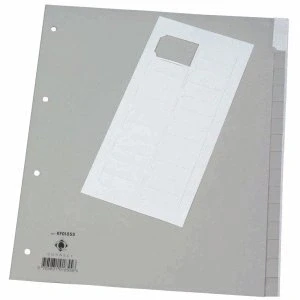 Abbildung von Connect Register A4+ PP 12 teilig blanko grau