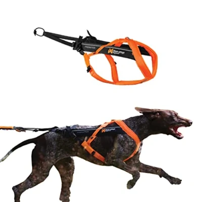 Abbildung von Non stop dogwear Hunde Powergeschirr FREEMOTION HARNESS 5.0, verstellbares Hundezuggeschirr black/orange