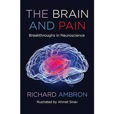 Abbildung von The Brain and Pain: Breakthroughs in Neuroscience