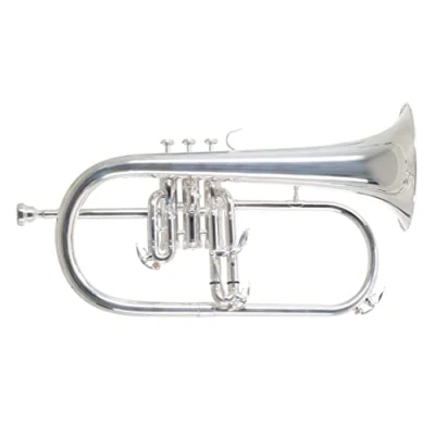 Abbildung von Roy Benson Bb Flügelhorn FH 302S (mit 11mm MS Bohrung, Goldmessing Schallstück, Edelstahl Ventilen, inkl. leichtem Rechtecketui, mit Rucksackfunktion, Größe: 6&quot;), versilbert