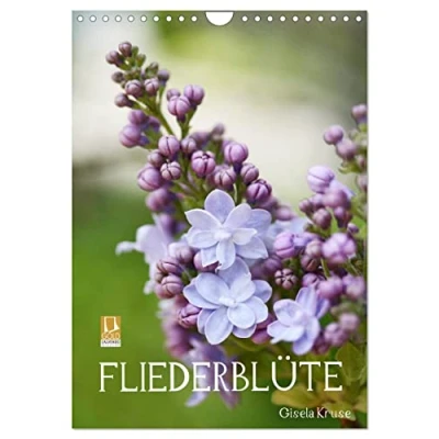 Abbildung von Fliederblüte (Wandkalender 2025 DIN A4 hoch), CALVENDO Monatskalender