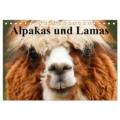 Abbildung von Alpakas und Lamas (Tischkalender 2025 DIN A5 quer), CALVENDO Monatskalender