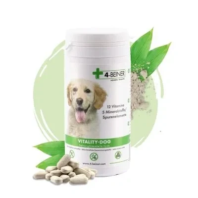 Abbildung von 4 BEINER Vitality Dog Hundevitamine, 12 Vitamine &amp; Mineralstoffe zur Unterstützung von Immunsystem, Nerven Fell, Barf geeignet, 100 Tabletten Hund