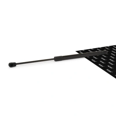 Abbildung von RIDEX 219G0334 Heckklappendämpfer 470 beidseitig MITSUBISHI: COLT 6