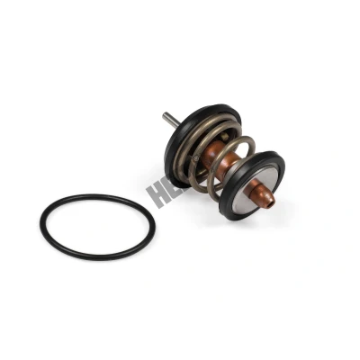 Abbildung von Thermostat, Kühlmittel HEPU TM1003