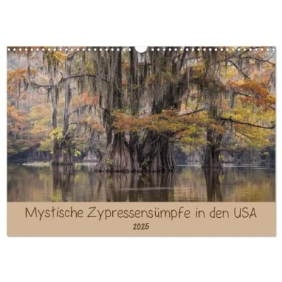 Abbildung von Mystische Zypressensümpfe (Wandkalender 2025 DIN A3 quer), CALVENDO Monatskalender