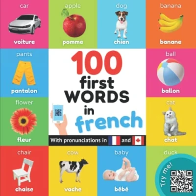 Abbildung von 100 first words in French: Bilingual picture book for kids: English / French with pronunciations (Learn french)