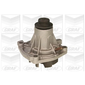 Abbildung von Wasserpumpe GRAF PA420A
