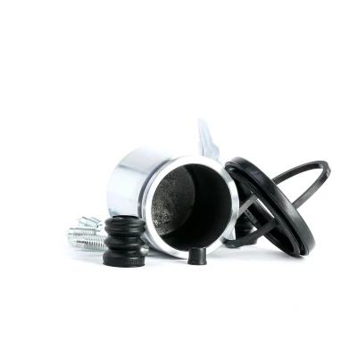 Abbildung von AUTOFREN SEINSA D42048C Bremssattel Reparatursatz Hinterachse 51 NISSAN: Patrol GR 4 SUV