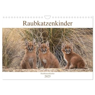 Abbildung von Raubkatzenkinder (Wandkalender 2025 DIN A4 quer), CALVENDO Monatskalender