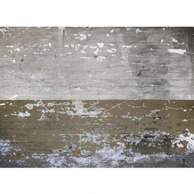 Abbildung von living walls Fototapete &quot;Designwalls Concrete Coated&quot;, Vlies, Wand, Schräge, Decke