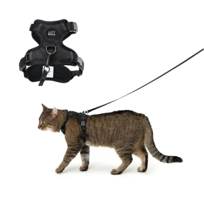Abbildung von LucyBalu Katzen Halsband EXPLORER Katzengeschirr mit Leine