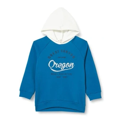Abbildung von Koton Boys Hoodie Long Sleeve Embroidered Detail Brushed Interior