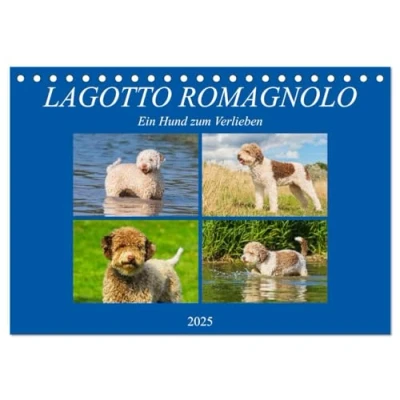 Abbildung von Lagotto Romagnolo Ein Hund zum Verlieben (Tischkalender 2025 DIN A5 quer), CALVENDO Monatskalender